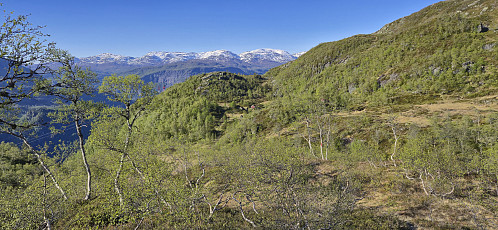 Returning to Bjørndalen
