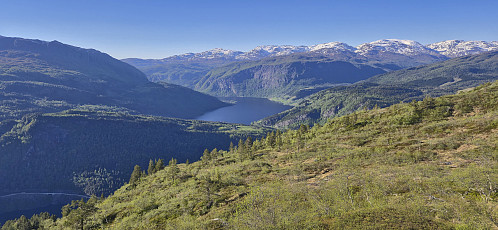 Granvinsvatnet from the descent