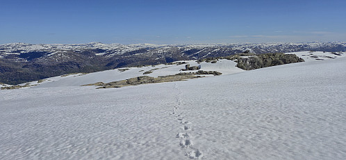 Following my own footprints back down from Gråsida