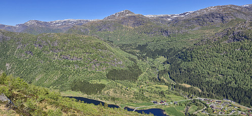 Blånipa from the descent