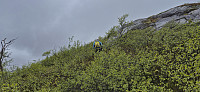 Ascending to the ridge