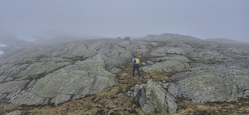 Heading into the fog