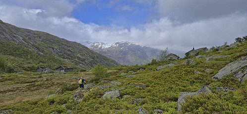 Back at Tveradalsstølen
