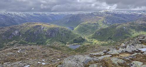 Nygard from Blånipa