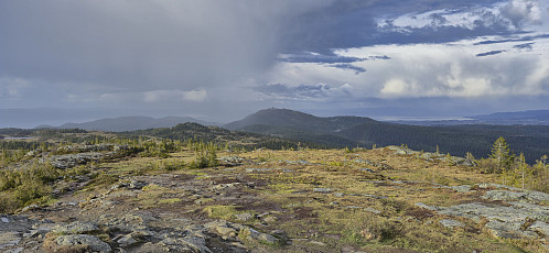 Looking back at Gråkallen from Storheia