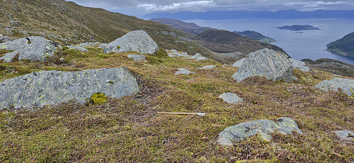 The weak and poorly marked trail into Gottebergsdalen