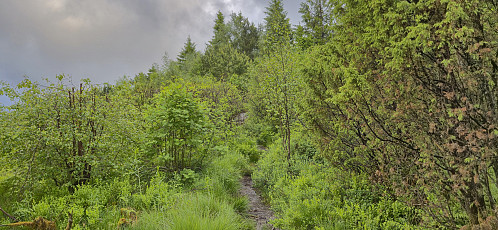 The trail from the northwest