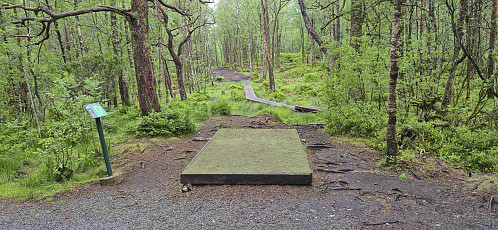 Several frisbee golf opportunities along the ridge