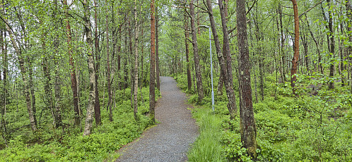 Gravel path on the way to the unnamed 168 hill