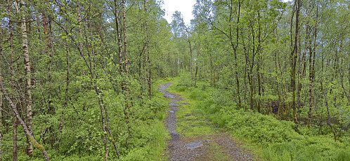 Tractor road towards the unnamed 168 hill
