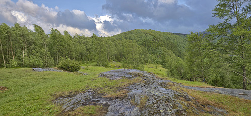 The highest point at the unnamed 168 hill