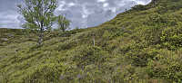 Marked route to the ridge