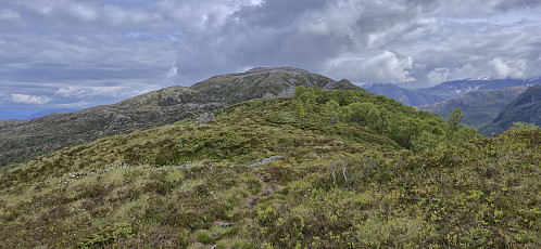 Marked trail to Gråurdstinden