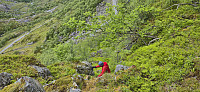 Petter from the steepest section