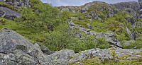 Approaching the boulder field
