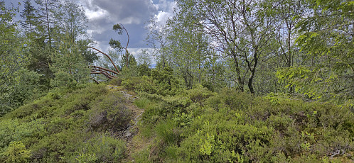 Nordåsen