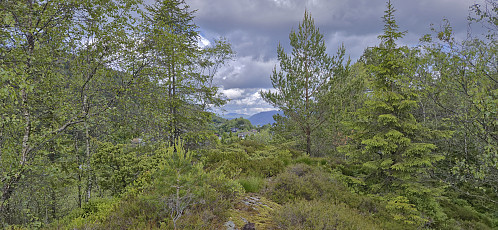 View north from Nordåsen