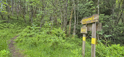 Signs at the trailhead