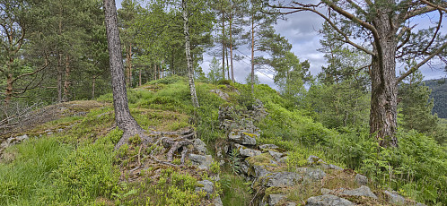 Eidahaugane