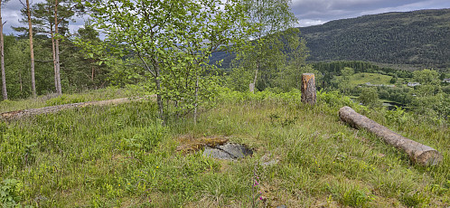 Eidahaugane
