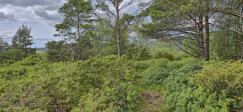 The northern 111.9 hill at Eidahaugane