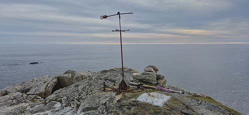 Skogsøytua