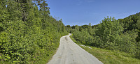 Oppheimsdalsvegen