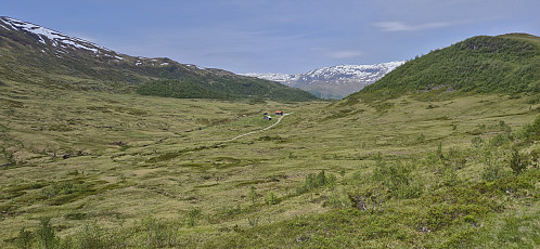 Tjørnarhovden