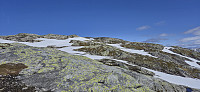 The summit cairn in the distance