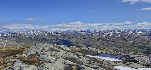 Finnbunuten from Blyfjell