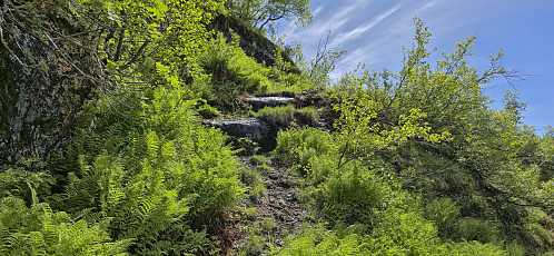 Trail/track to Raunebrekkene