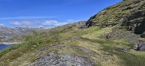 Raunebrekkene