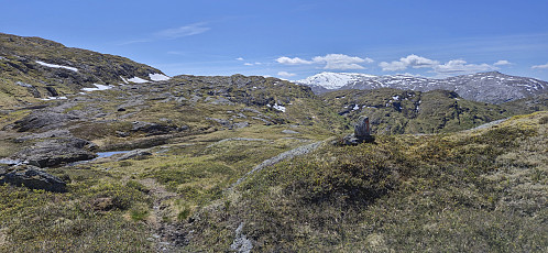 Marked trail to Torvedalshytta