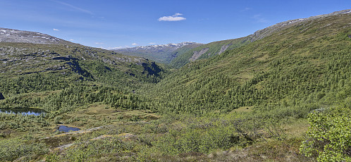 The trail to Gullbrå