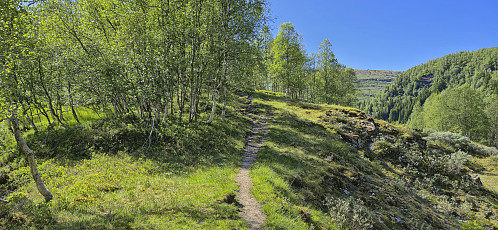 Trail on the south side of the river