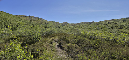 Tjørnadalen