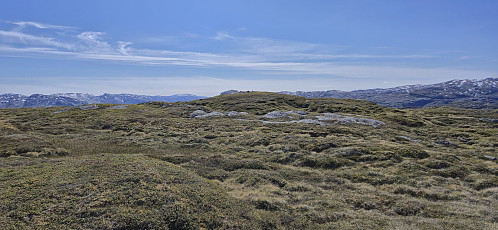 Approaching the summit