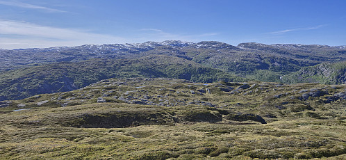 Skjerjavasshovden from Loneggi