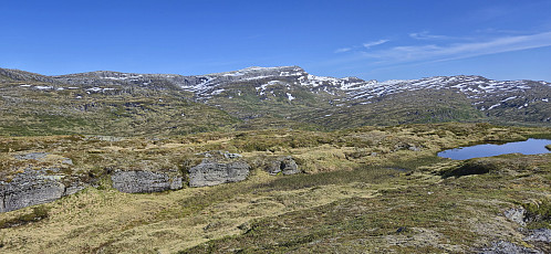 Kvitanosi from Loneggi
