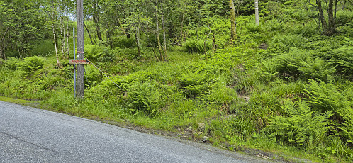 The marked trailhead