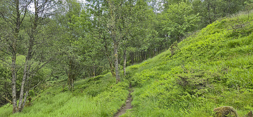 The trail north of Huseberget