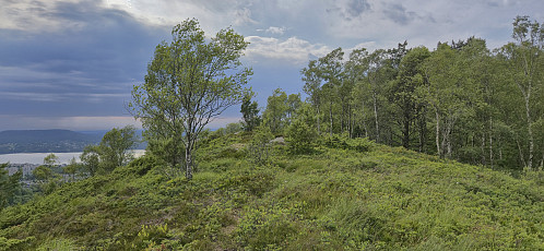 Approaching the summit
