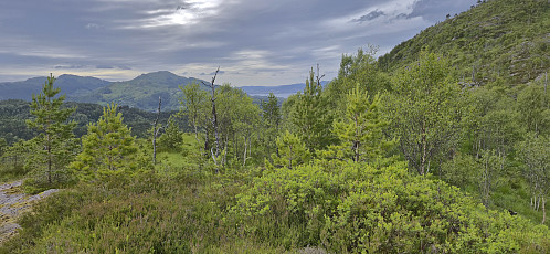 Svartafjellet with Veten in the background