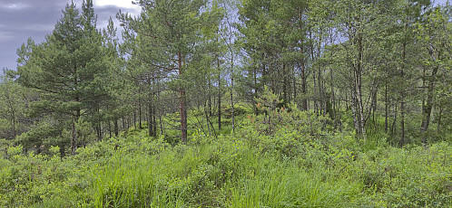 The two hills at the top of Eika with the one at the back being slightly higher