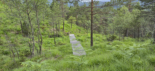 The mountain biking trail I came across west of Eika