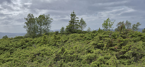 From the real summit towards the cairn