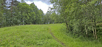 Ascending Stemhaugen