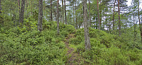 Trail to Stemhaugen