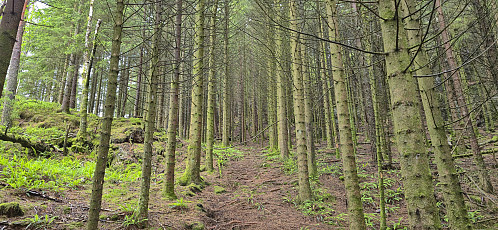 Ascending Langaberget