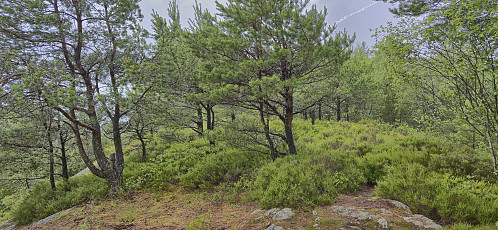 The summit area at Langaberget